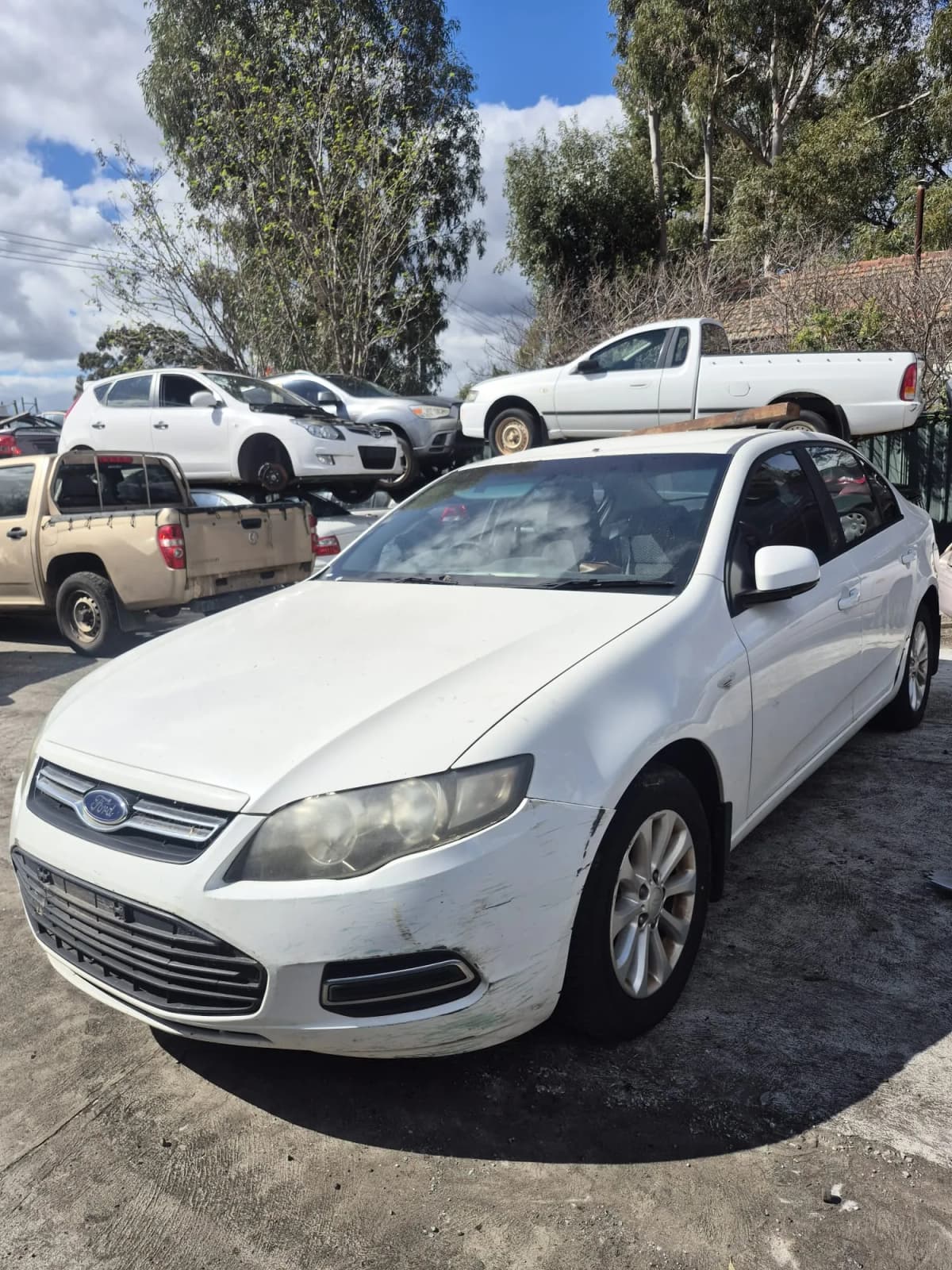 2012 Ford Falcon